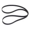 SIERRA 18-18100 Serpentine Belt for Mercury/Mariner Outboard Motors -Deals Marine Engine Cooling Store 10499358 LRG