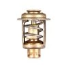 SIERRA 23-3606 Thermostat Replaces Onan 309-0130 -Deals Marine Engine Cooling Store 13480579 LRG