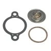 SIERRA 18-3648D Thermostat Kit - 160 for Mercruiser Stern Drives -Deals Marine Engine Cooling Store 1658426 LRG