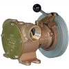 JABSCO Flexible Impeller Clutch Pump